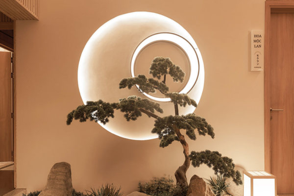 Imakoko About Imakoko About